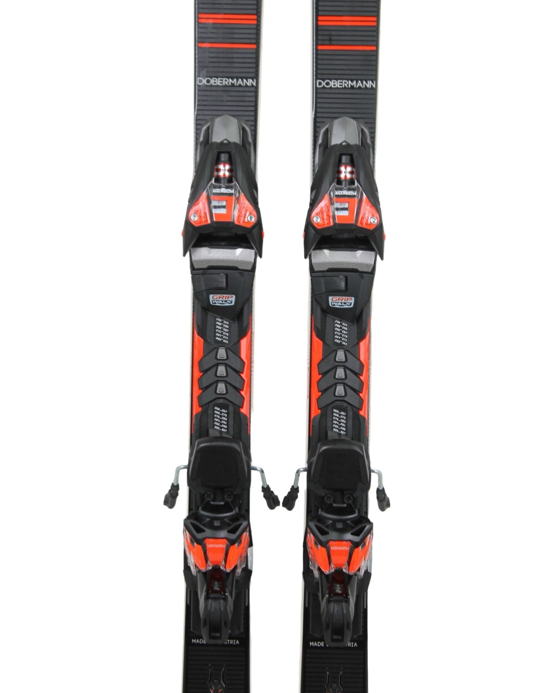 Nordica Dobermann GSC