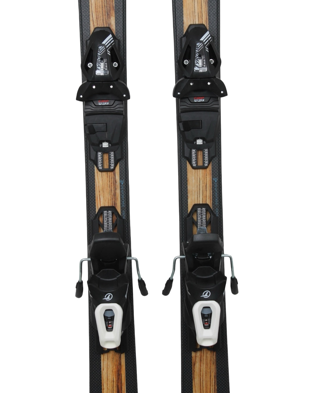 Aspen Born in Colorado