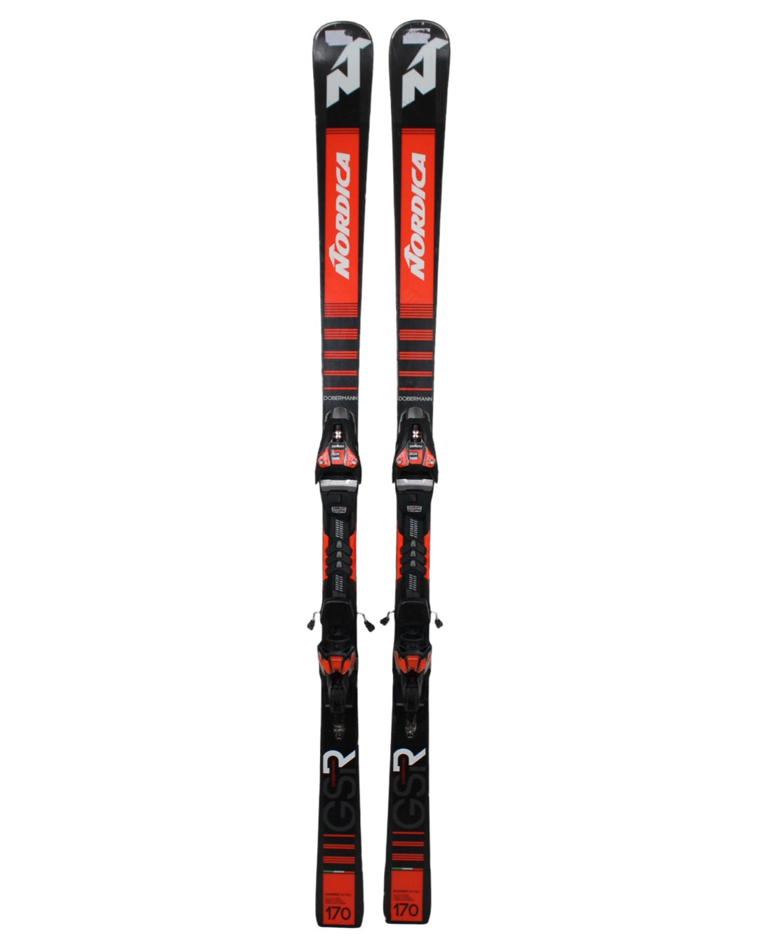 Nordica doberman GSR 2019