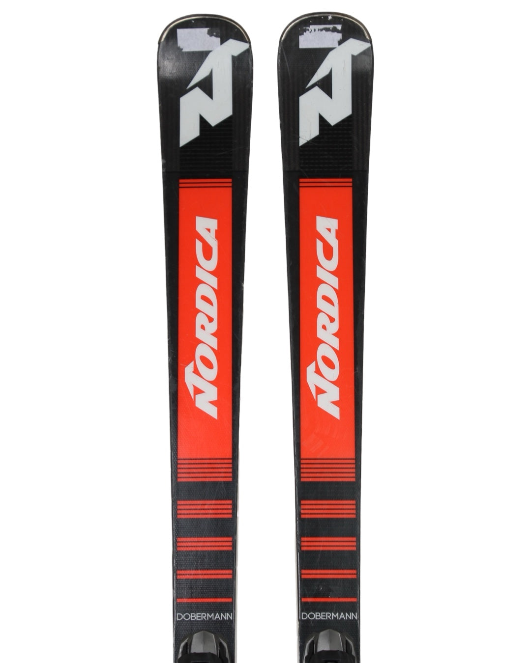 Nordica doberman GSR 2019