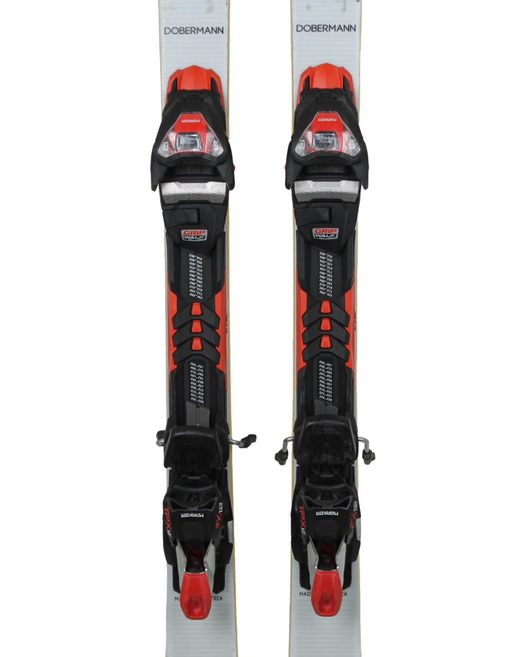 Nordica doberman SLC 2019