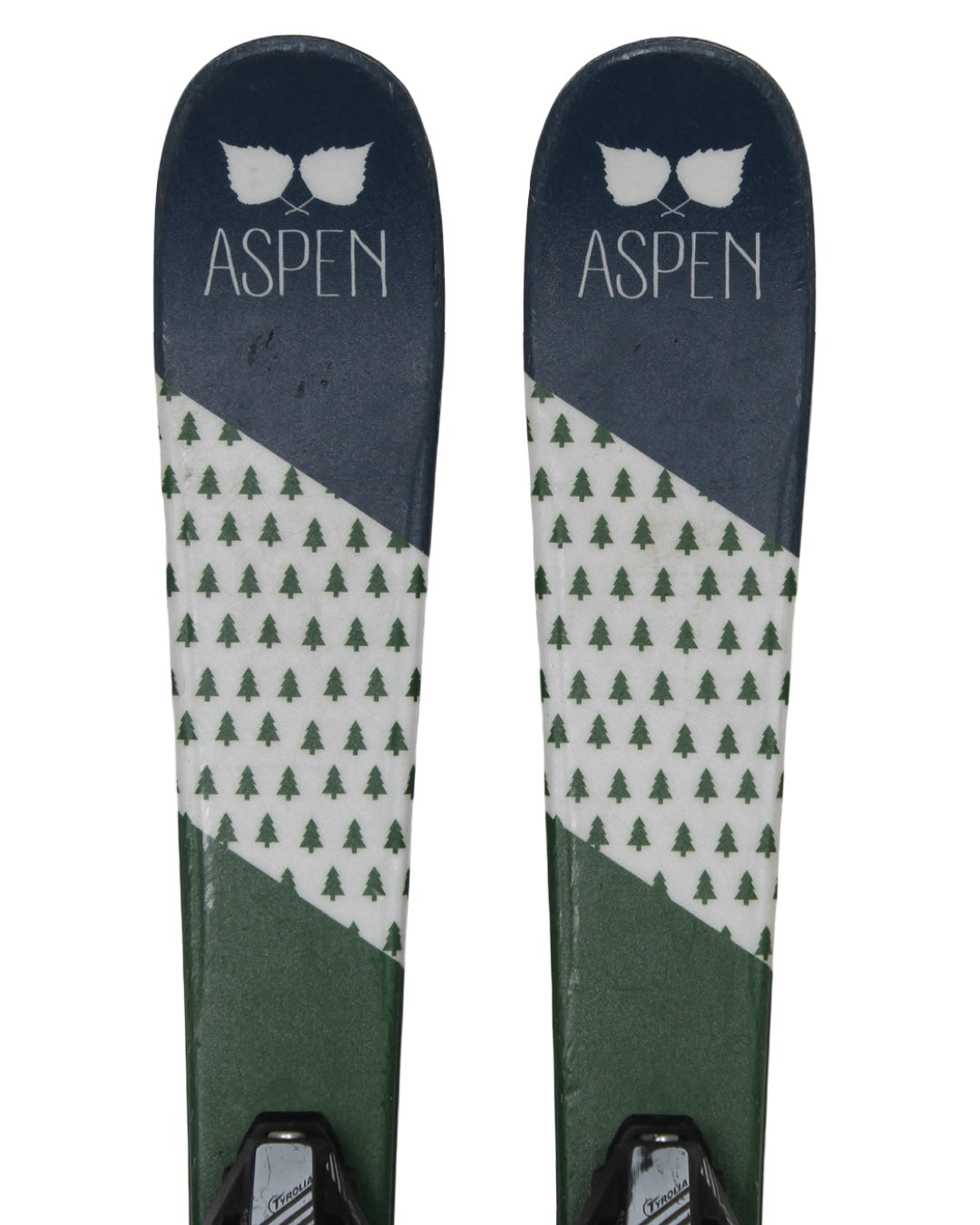 Aspen Forrest