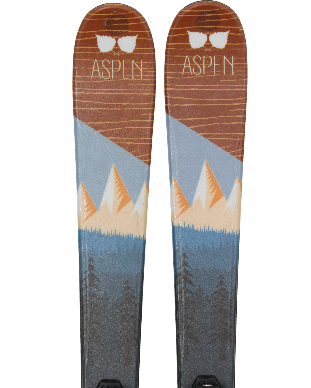 Aspen Forest Brown