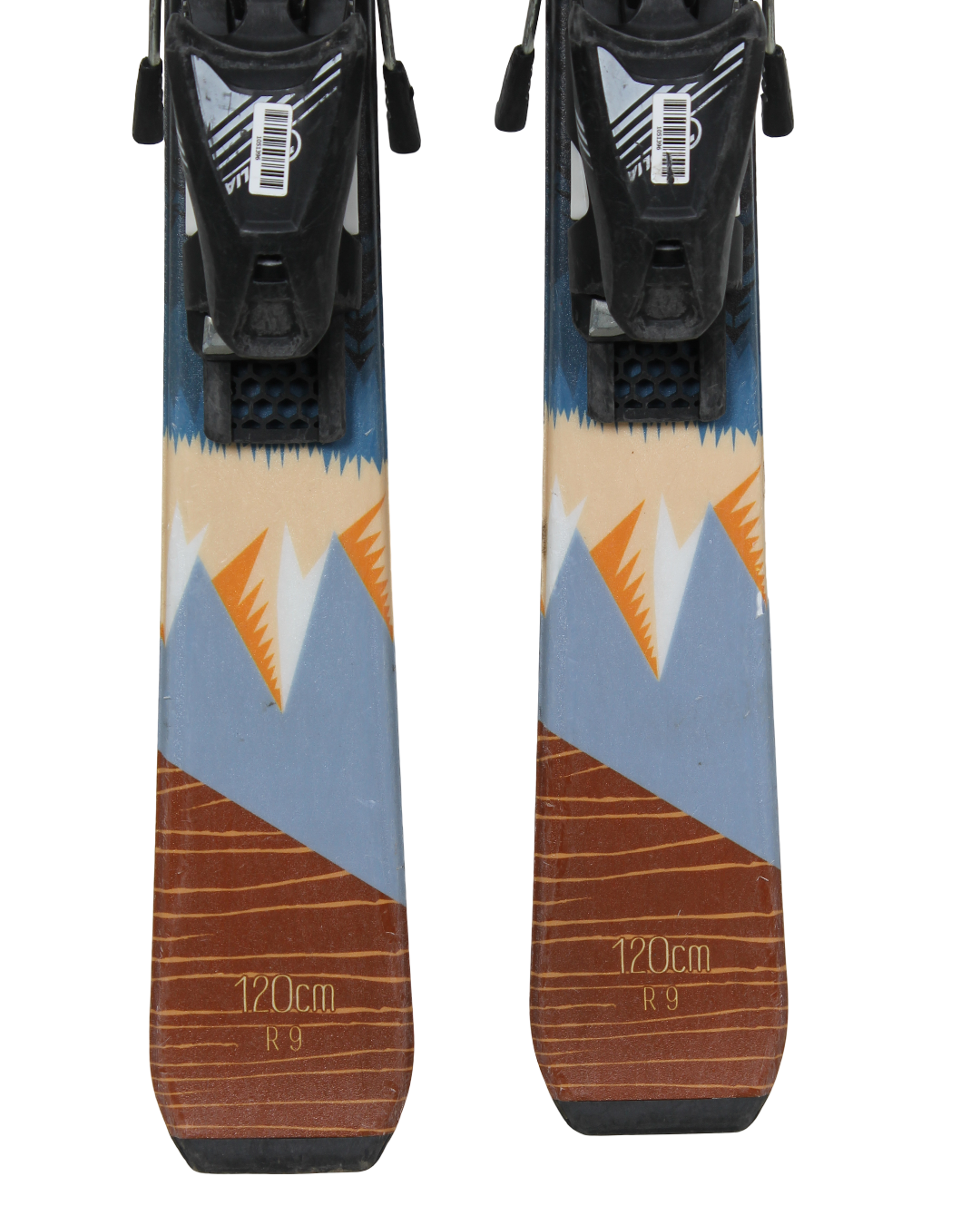 Aspen Forest Brown