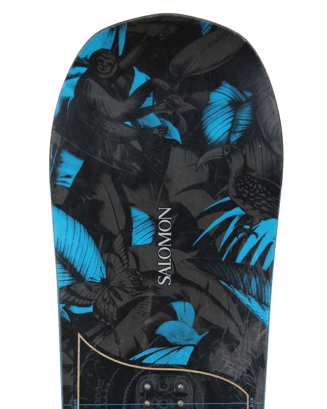 Salomon Wonder Blue